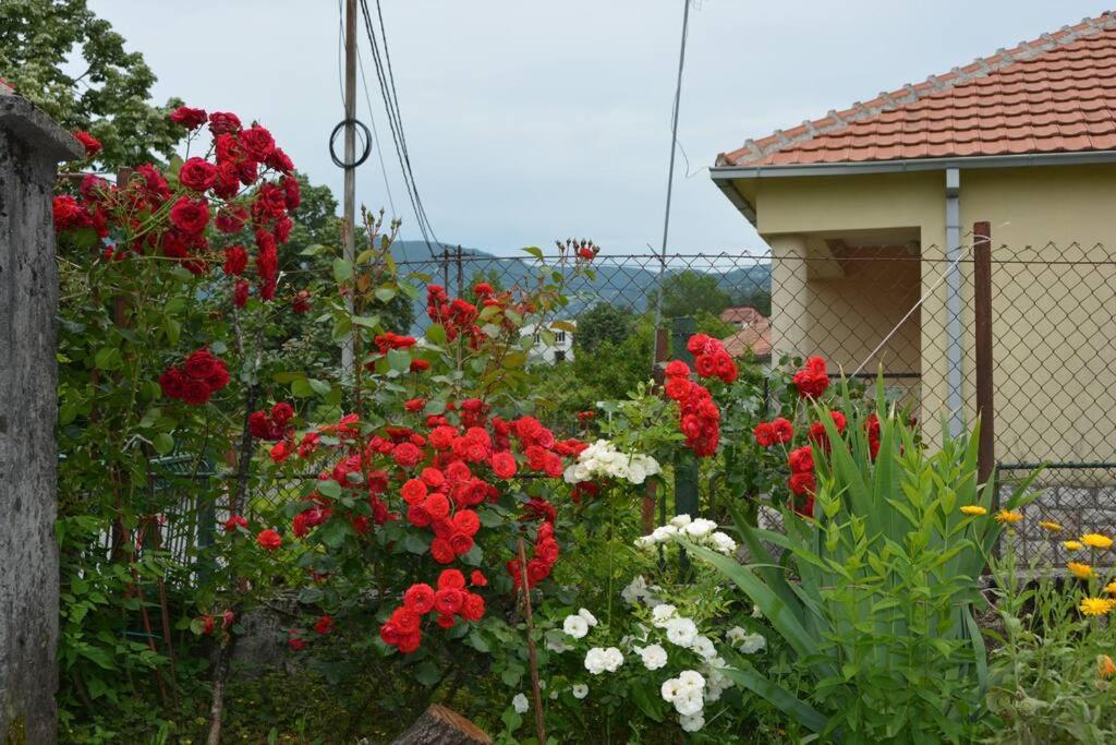 B&B Ana Virpazar Exterior photo